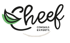 Logo Cheef