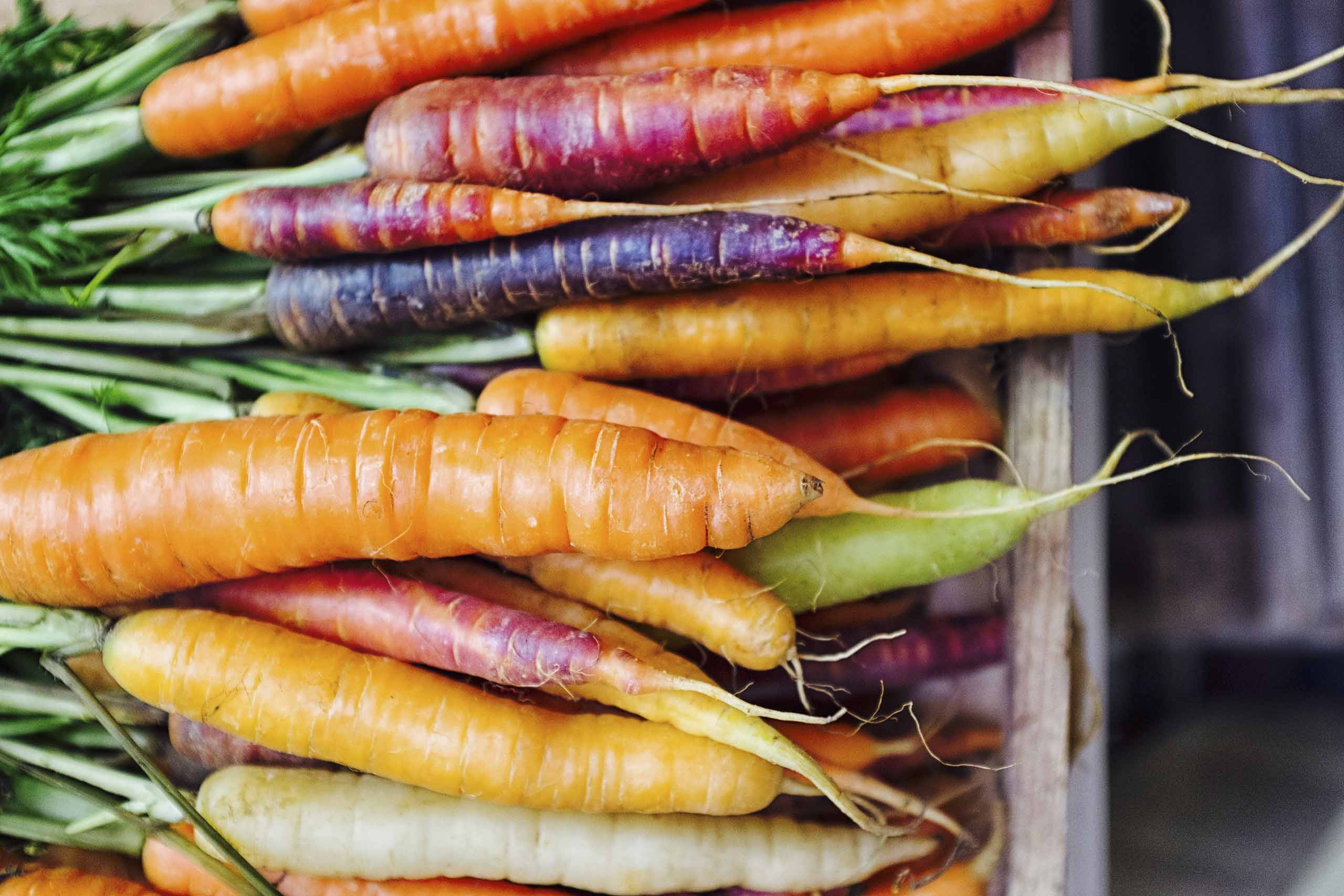 carottes aliment satiété 