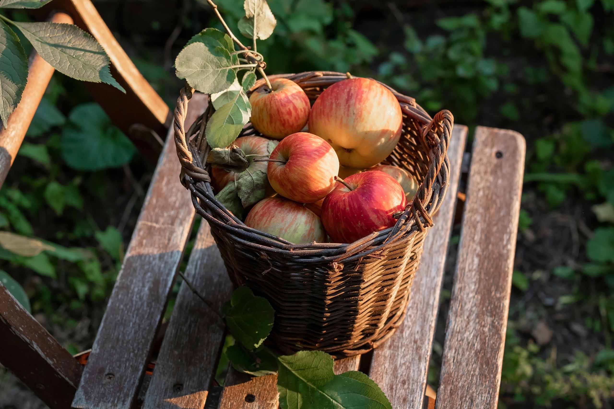 Coupe faim naturel efficace puissant