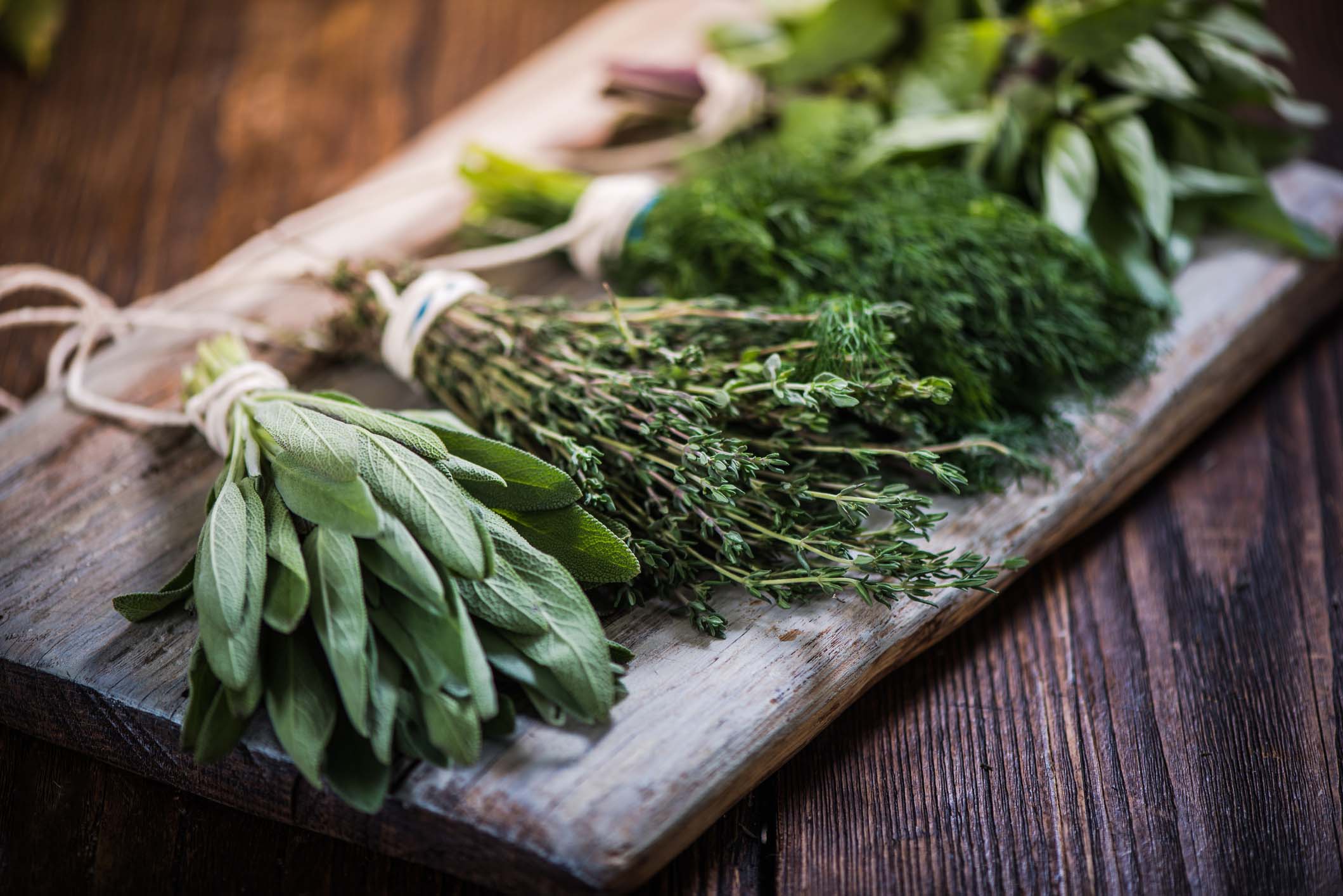 herbes aromatiques et épices 