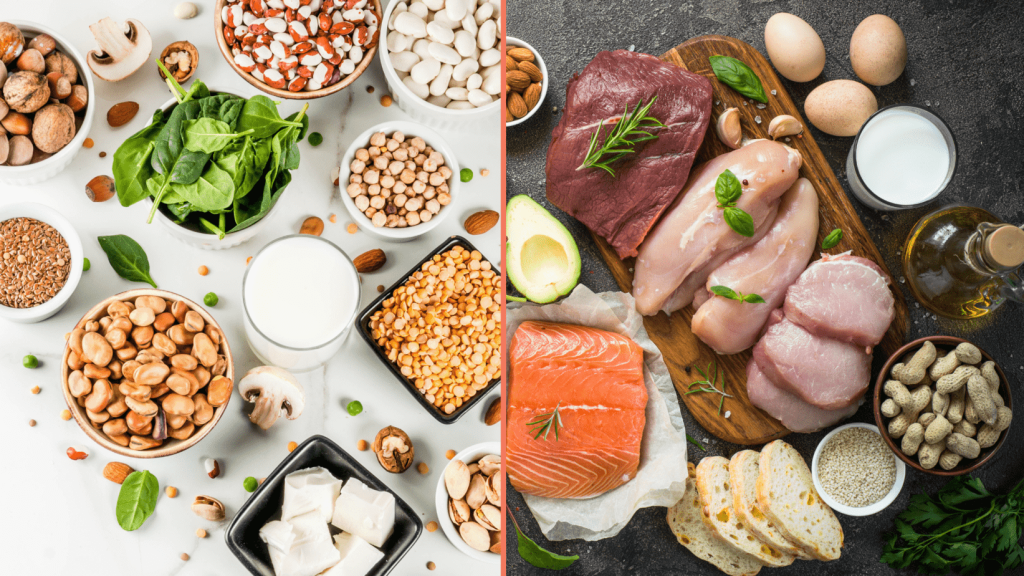 Protéines animales vs végétales