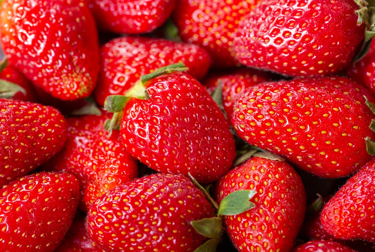 Fraises fruits