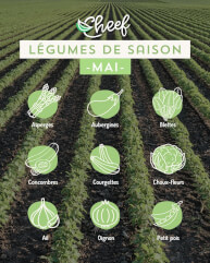 Mai fait ce qu’il...