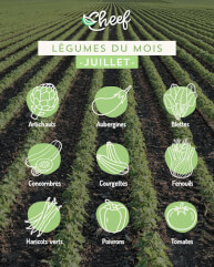 Juillet est là et...